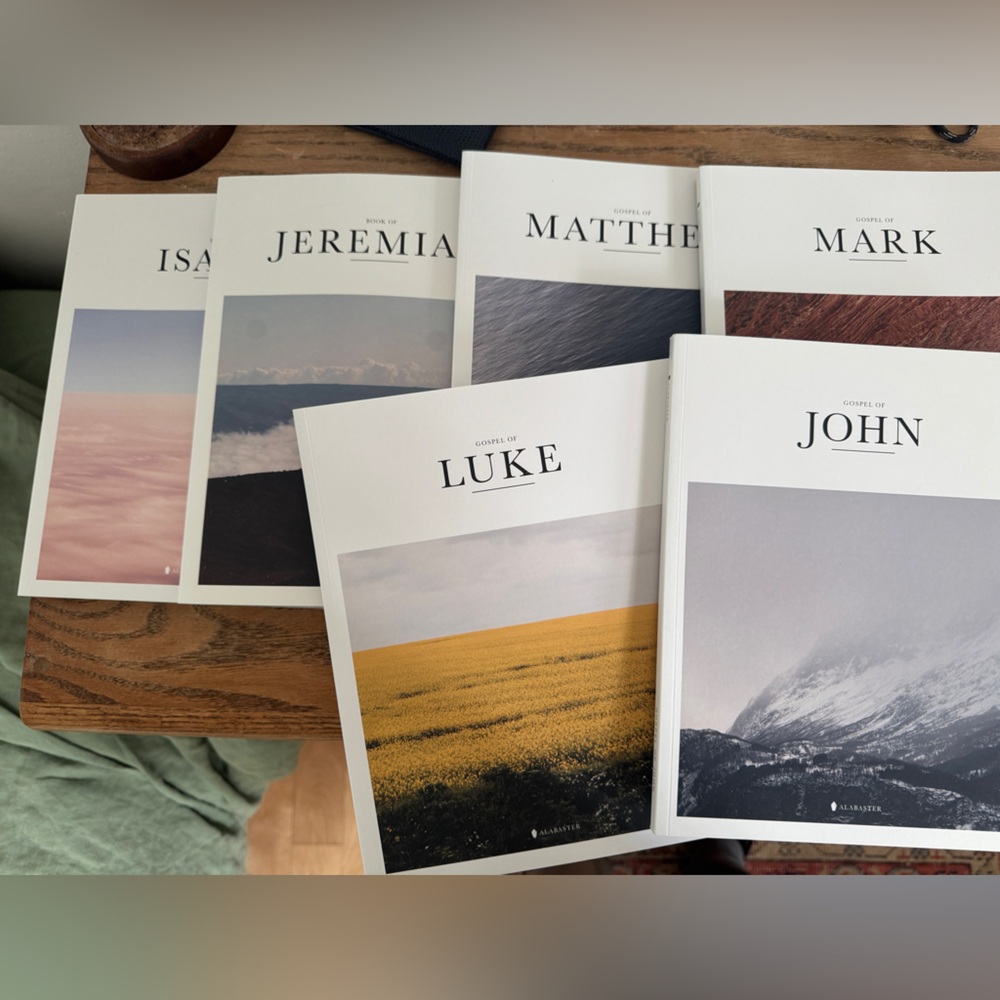 Alabaster Co Bible Books - 20 Book Set